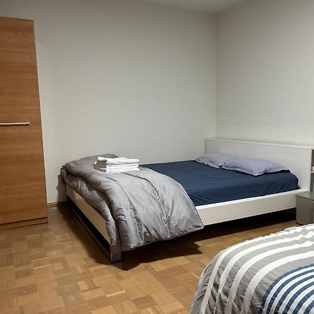 Apartement Saint Louis Train Station- Euroairport- Basel מראה חיצוני תמונה