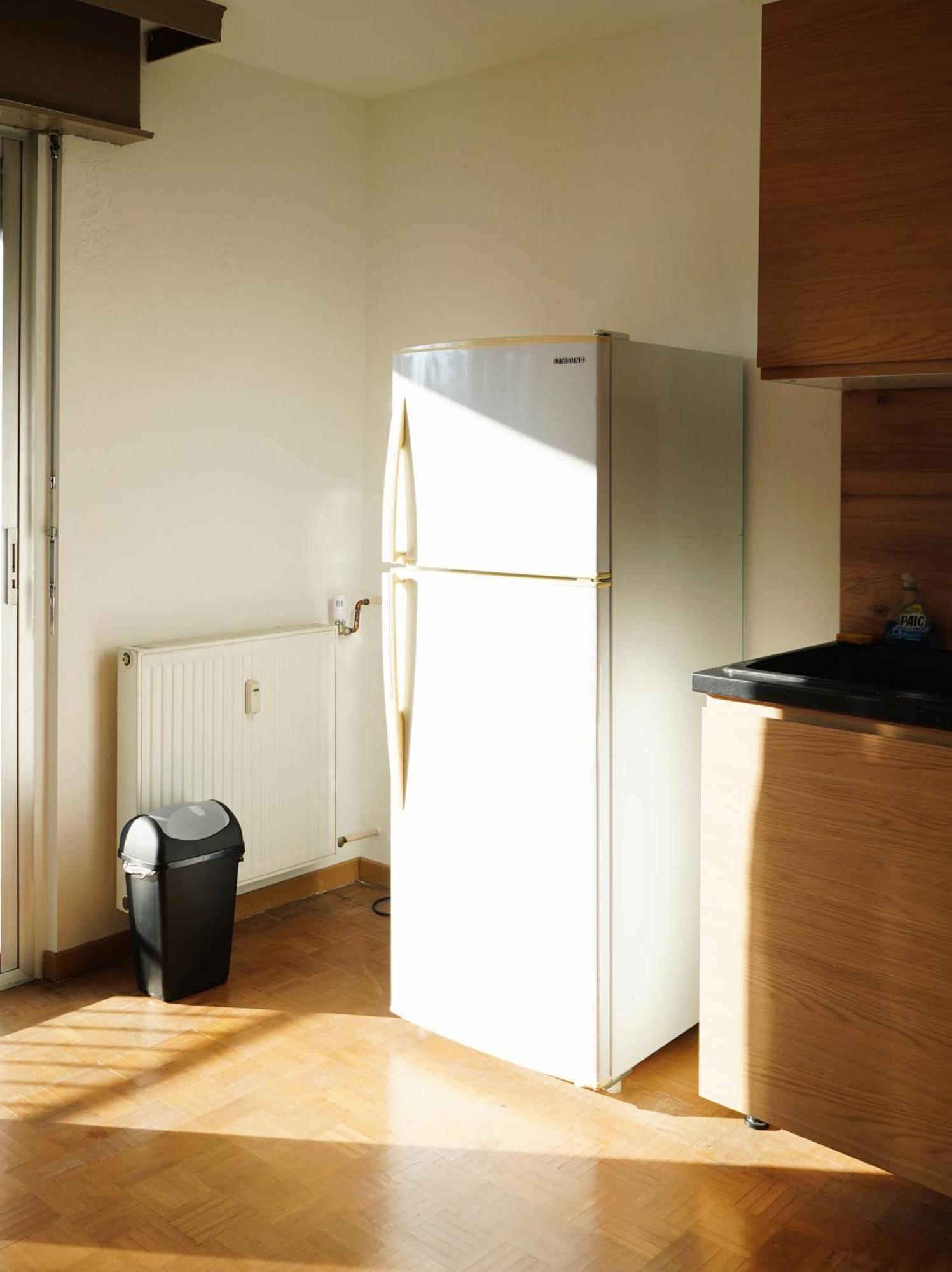 Apartement Saint Louis Train Station- Euroairport- Basel מראה חיצוני תמונה